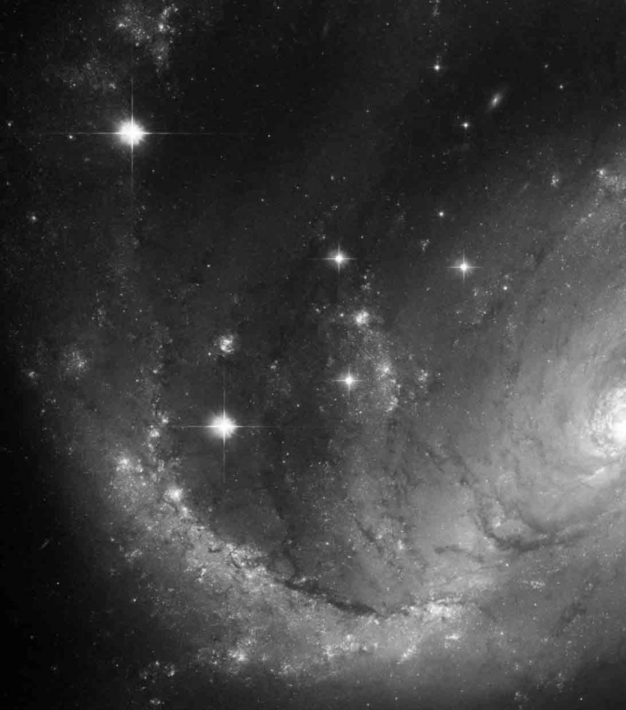 conseil innovation photo cosmos